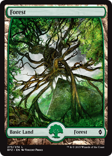 (image for) Forest (273) - Full Art